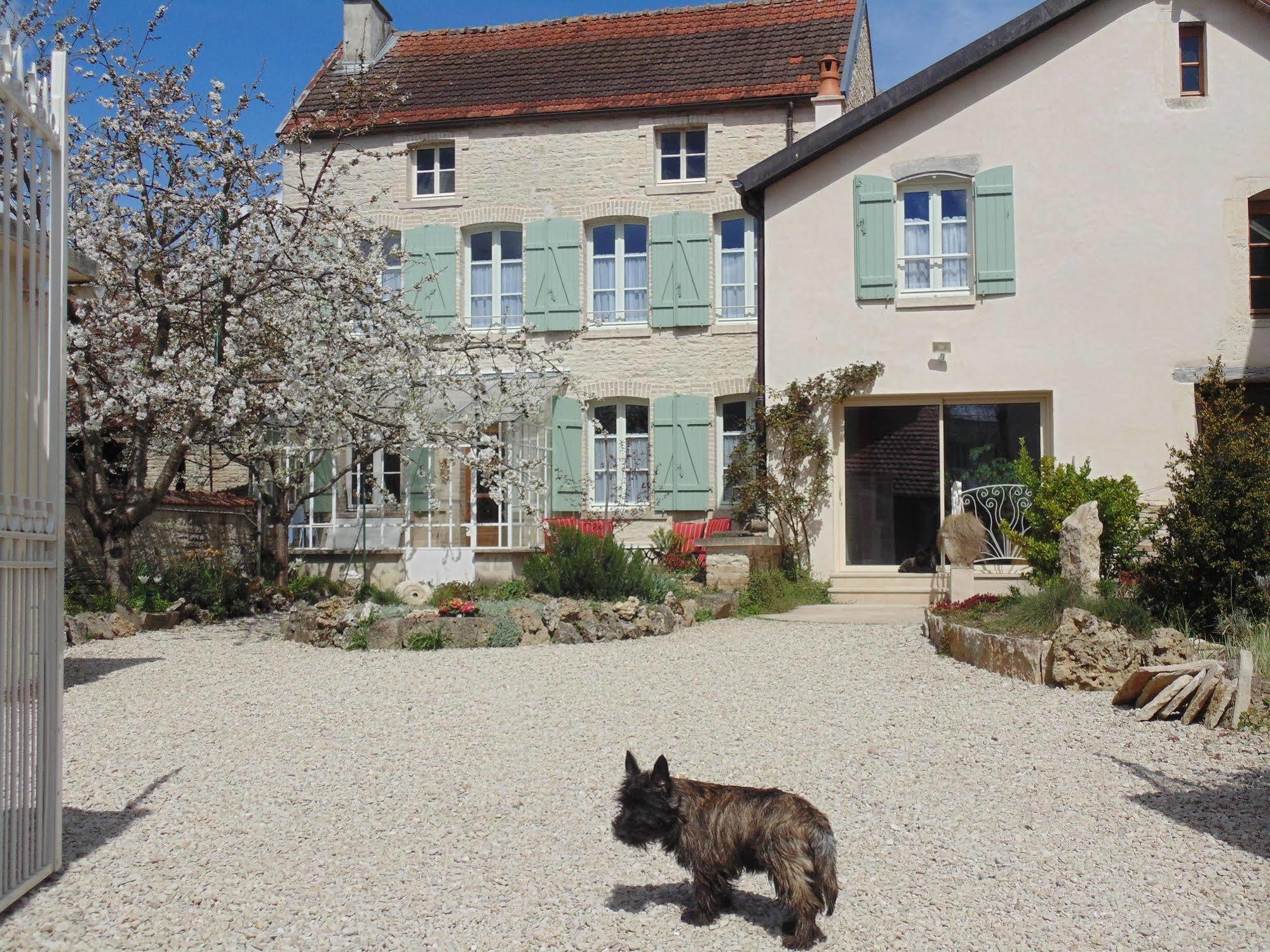 Bed and Breakfast La Promenade En Champagne Mussy-sur-Seine Esterno foto